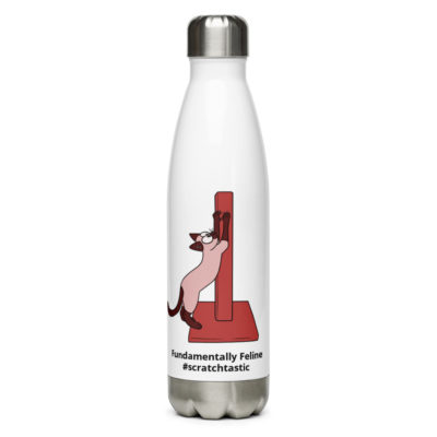 Scratchtastic Stainless Steel Water Bottle