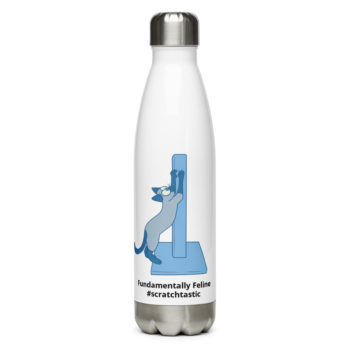 Scratchtastic Stainless Steel Water Bottle