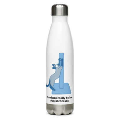 Scratchtastic Stainless Steel Water Bottle