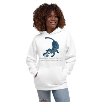 Master Forager Unisex Pull Over Hoodie-Teal Cat - Image 2