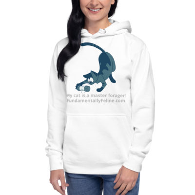 Master Forager Unisex Pull Over Hoodie-Teal Cat - Image 3